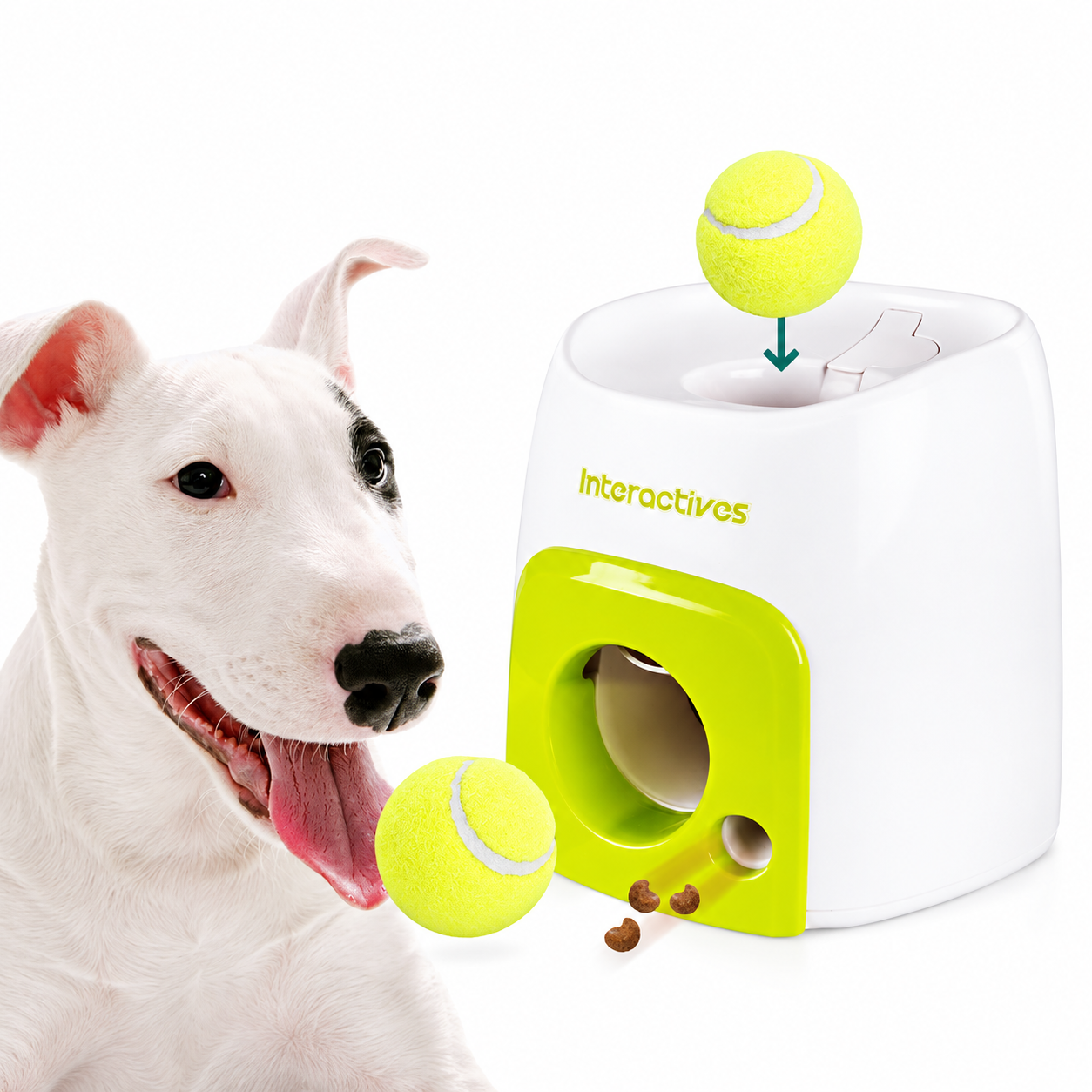 Perro jugando con el dispensador de premios